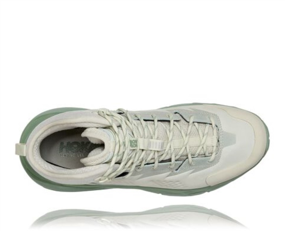 אולי בזיליקום בגוון Gtx Hoka Celadon